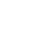 Visa Brand